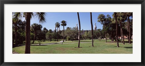 Framed Trees in a campus, University Of Tampa, Florida Print