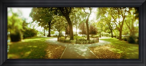 Framed Trees in a park, McCarren Park, Greenpoint, Brooklyn, New York City, New York State, USA Print