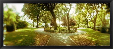 Framed Trees in a park, McCarren Park, Greenpoint, Brooklyn, New York City, New York State, USA Print