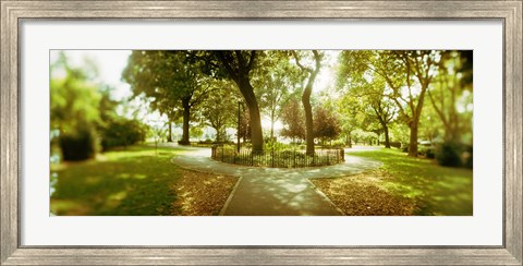 Framed Trees in a park, McCarren Park, Greenpoint, Brooklyn, New York City, New York State, USA Print
