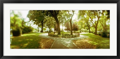 Framed Trees in a park, McCarren Park, Greenpoint, Brooklyn, New York City, New York State, USA Print