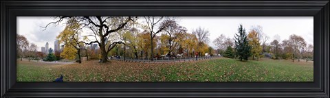 Framed Horse and carriages in a park, Central Park, Manhattan, New York City, New York State, USA Print