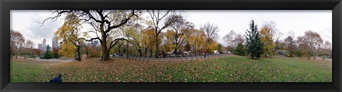 Framed Horse and carriages in a park, Central Park, Manhattan, New York City, New York State, USA Print