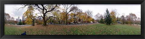 Framed Horse and carriages in a park, Central Park, Manhattan, New York City, New York State, USA Print