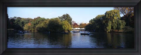 Framed Lake in a park, Central Park, Manhattan, New York City, New York State, USA Print