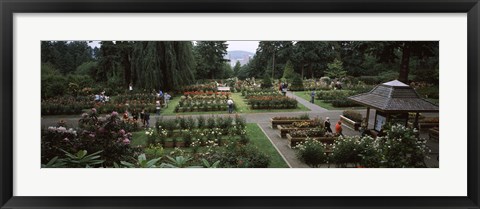 Framed Tourists in a rose garden, International Rose Test Garden, Washington Park, Portland, Multnomah County, Oregon, USA Print