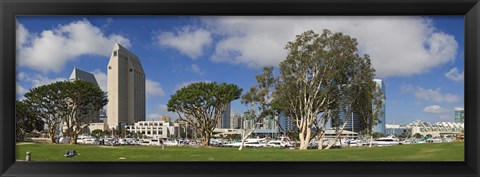 Framed Park in a city, Embarcadero Marina Park, San Diego, California, USA 2010 Print