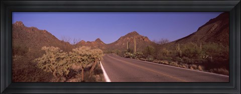Framed Road Through Saguaro National Park, Arizona Print