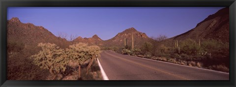 Framed Road Through Saguaro National Park, Arizona Print