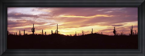 Framed Purple and Orange Sky Over Saguaro Nataional Park, Arizona Print