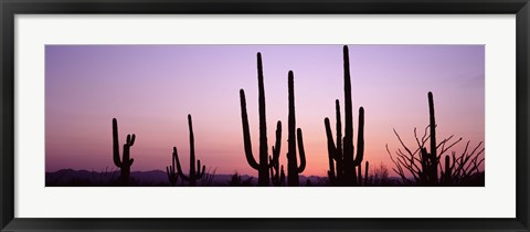 Framed Landscape of Saguaro National Park, Tucson, Arizona Print