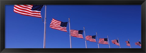 Framed Low angle view of American flags, Washington Monument, Washington DC, USA Print