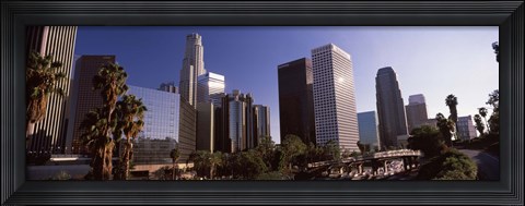 Framed Palm trees and skyscrapers in a city, City Of Los Angeles, Los Angeles County, California, USA Print