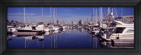Framed Sailboats at a harbor, Long Beach, Los Angeles County, California, USA Print