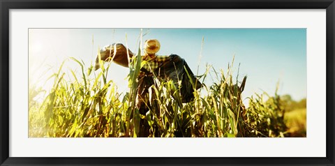 Framed Scarecrow in a corn field, Queens County Farm, Queens, New York City, New York State, USA Print