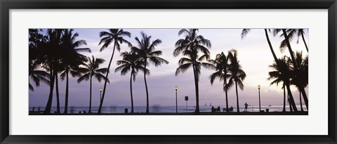 Framed Palm trees on the beach, Waikiki, Honolulu, Oahu, Hawaii (black and white) Print