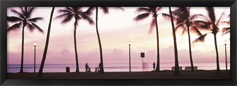 Framed Palm trees on the beach, Waikiki, Honolulu, Oahu, Hawaii Print