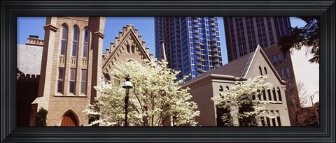 Framed Trees in front of a building, Charlotte, Mecklenburg County, North Carolina, USA Print