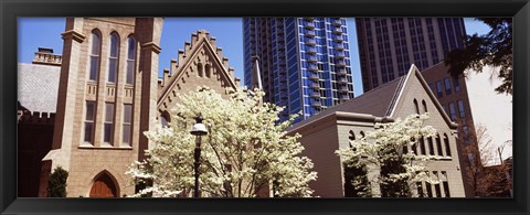 Framed Trees in front of a building, Charlotte, Mecklenburg County, North Carolina, USA Print