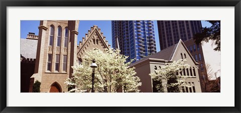 Framed Trees in front of a building, Charlotte, Mecklenburg County, North Carolina, USA Print