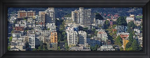Framed Aerial view of buildings in a city, Russian Hill, Lombard Street and Crookedest Street, San Francisco, California, USA Print