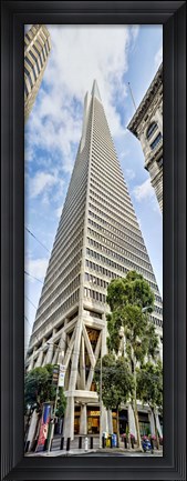 Framed Low angle view of skyscrapers, Transamerica Pyramid, San Francisco, California, USA 2011 Print