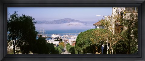 Framed Trees along the Hyde Street, San Francisco, California, USA Print
