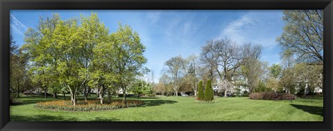 Framed Tulips with Trees at Sherwood Gardens, Baltimore, Maryland, USA Print