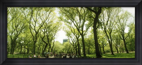 Framed Central Park in the spring time, New York City Print