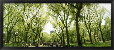 Framed Central Park in the spring time, New York City Print