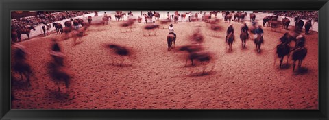 Framed Rodeo arena, Fort Worth Stock Show and Rodeo, Fort Worth, Texas, USA Print