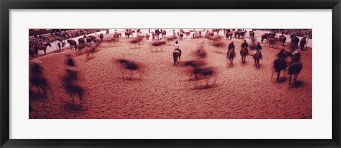 Framed Rodeo arena, Fort Worth Stock Show and Rodeo, Fort Worth, Texas, USA Print