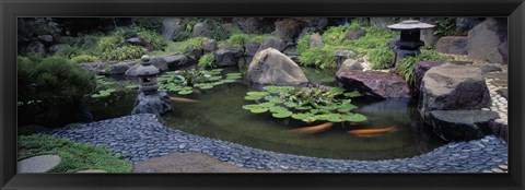 Framed Japanese Garden, University of California, Los Angeles Print