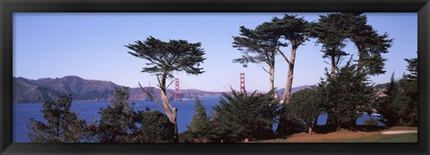 Framed Suspension bridge across a bay, Golden Gate Bridge, San Francisco Bay, San Francisco, California, USA Print