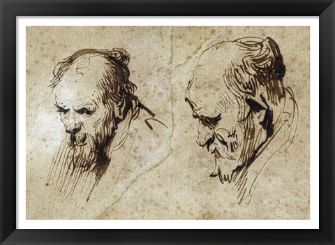 Framed Two Studies of the Head of an Old Man Print