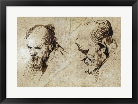 Framed Two Studies of the Head of an Old Man Print