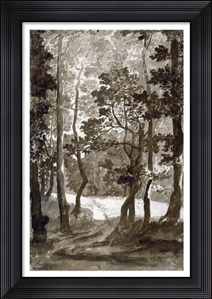 Framed Path Leading into a Forest Clearing Print