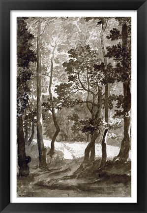 Framed Path Leading into a Forest Clearing Print