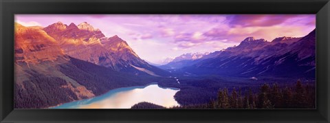 Framed Peyto Lake, Alberta, Canada Print