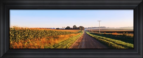 Framed Road Along Rural Cornfield, Illinois, USA Print