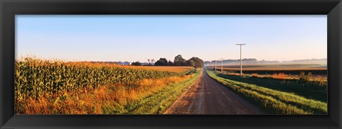 Framed Road Along Rural Cornfield, Illinois, USA Print