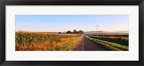 Framed Road Along Rural Cornfield, Illinois, USA Print