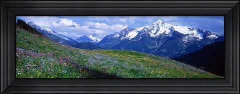 Framed Wildflowers Along Mountainside, Zillertaler, Austria Print