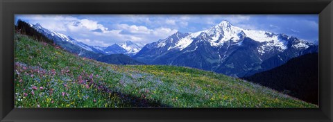 Framed Wildflowers Along Mountainside, Zillertaler, Austria Print