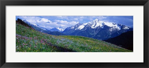 Framed Wildflowers Along Mountainside, Zillertaler, Austria Print