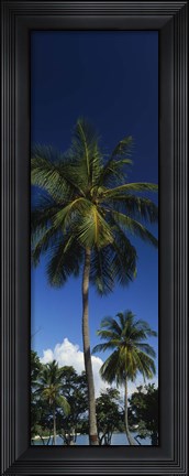 Framed USA, US Virgin Islands, Saint Thomas Print