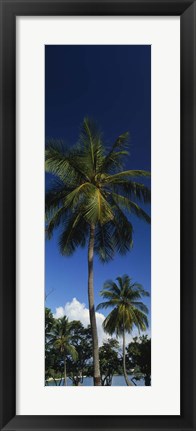 Framed USA, US Virgin Islands, Saint Thomas Print