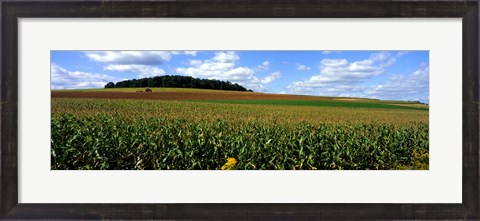 Framed Field Of Corn With Tractor In Distance, Carroll County, Maryland, USA Print