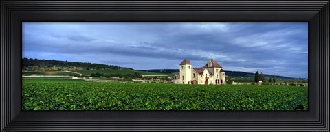 Framed Grand Cru Vineyard, Burgundy, France Print