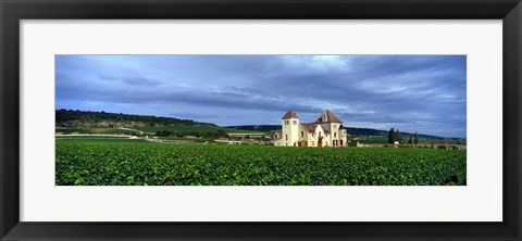Framed Grand Cru Vineyard, Burgundy, France Print